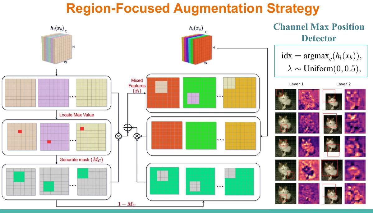 Region-focused augmentation với Channel Max Position Detector và top-k channel patches