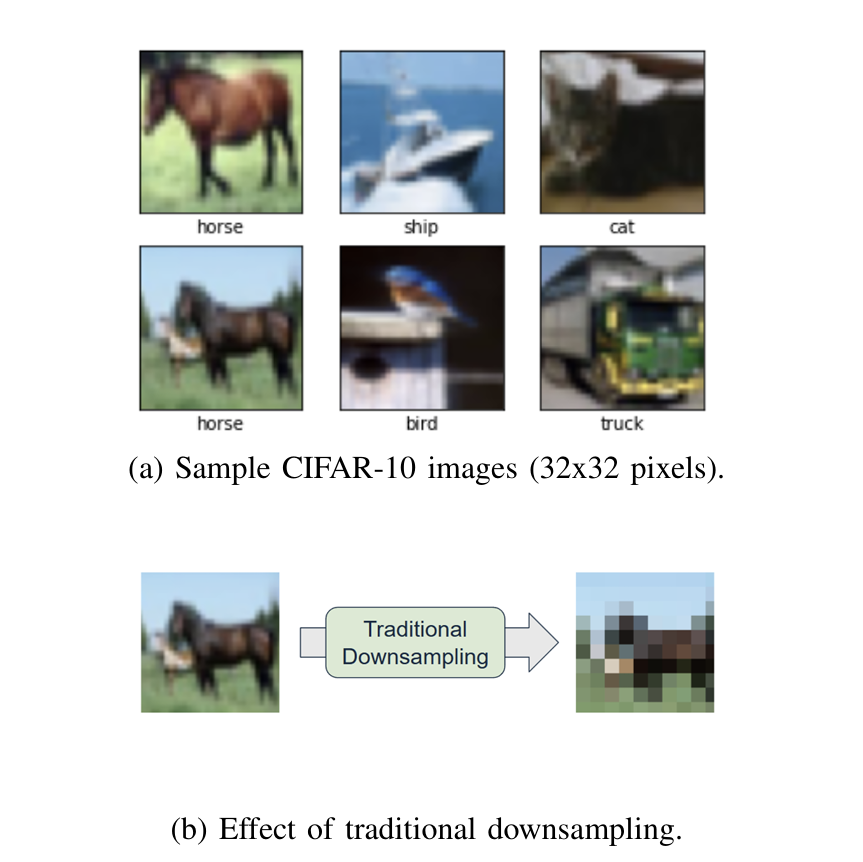 ELDER: Equivariance-preserving Downsampling for Efficient Low-Resolution Image Classification