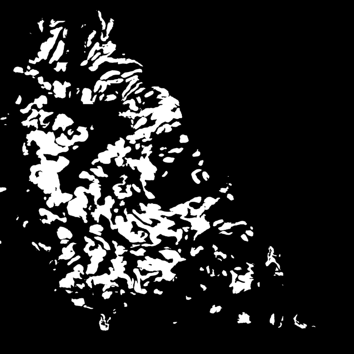 WSI 1 SegFormer Pred