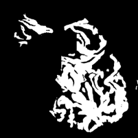 WSI 2 SegFormer Pred