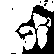 Test B TransUNet Pred